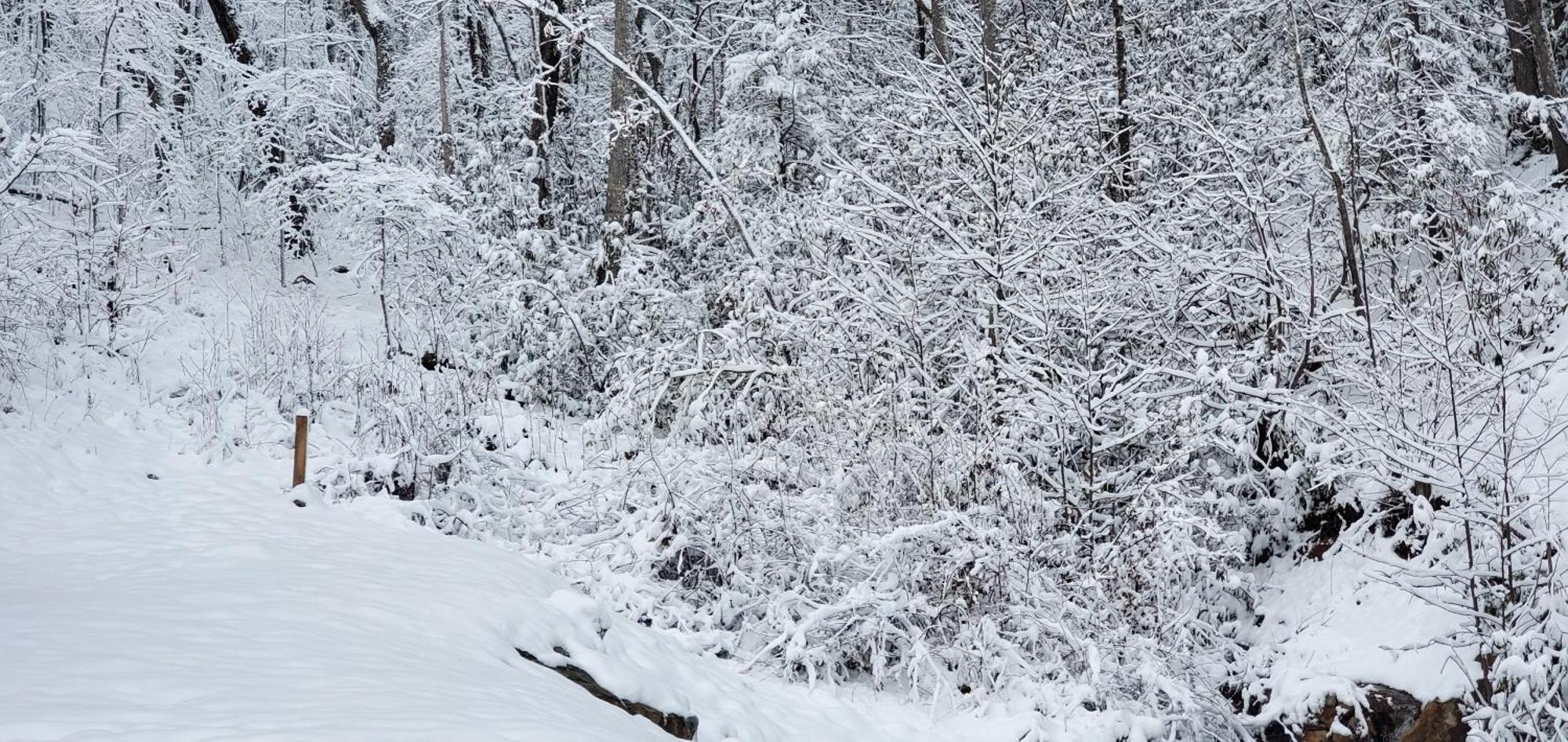 Lazy Bear Cabin Сев'єрвілл Екстер'єр фото