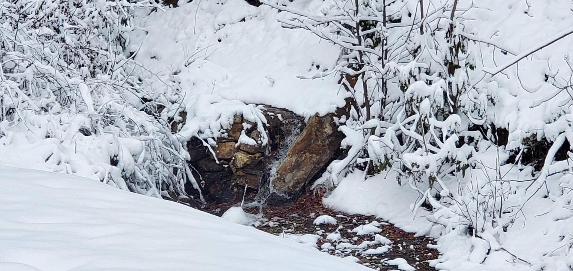 Lazy Bear Cabin Сев'єрвілл Екстер'єр фото